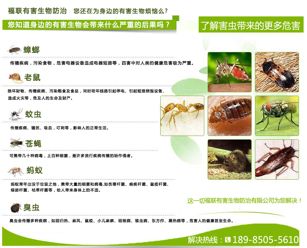優(yōu)勢(shì)處理.jpg